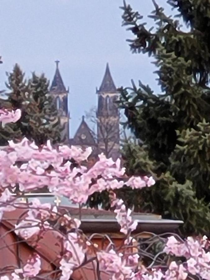 Haus Schmeile Magdeburg Luaran gambar